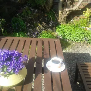 Harrington House Hostel Dublin